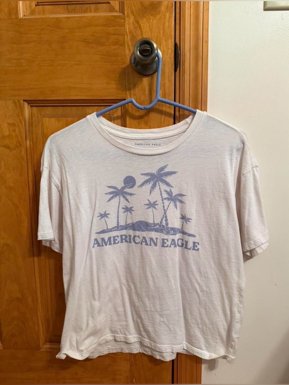 American Eagle Outfitters White Tee with Light Blue Palm Graphic